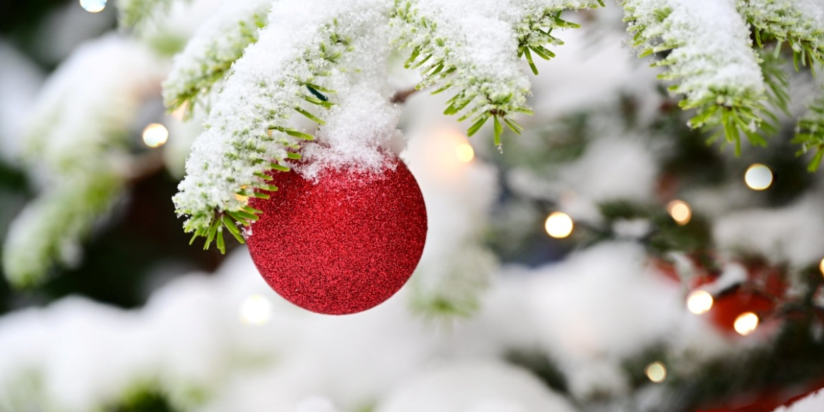A bauble on a Christmas tree