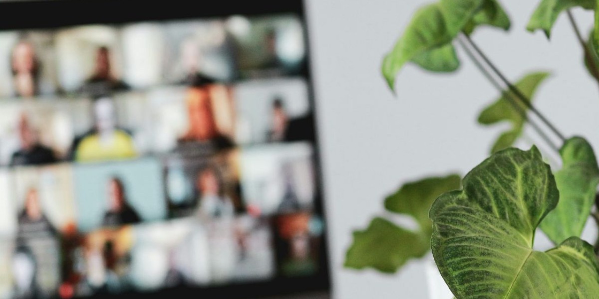 Banner image for 'What the Wellbeing Group discussed'