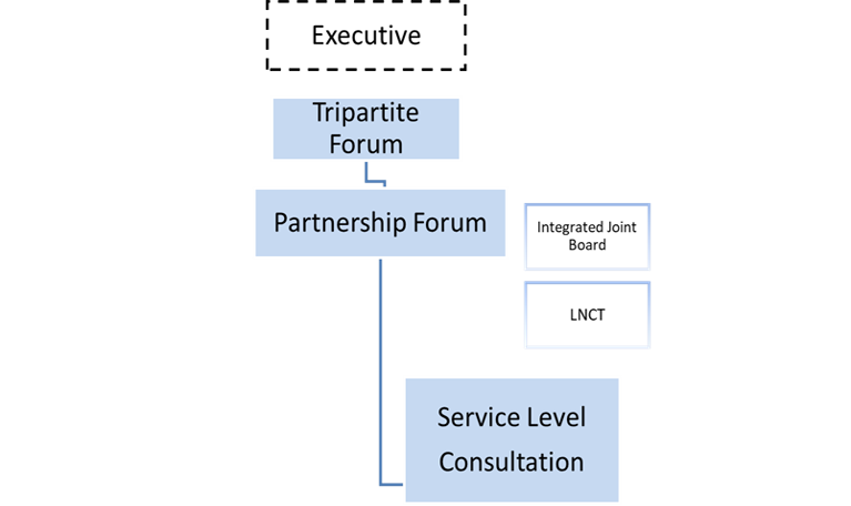  Partnership framework and governance