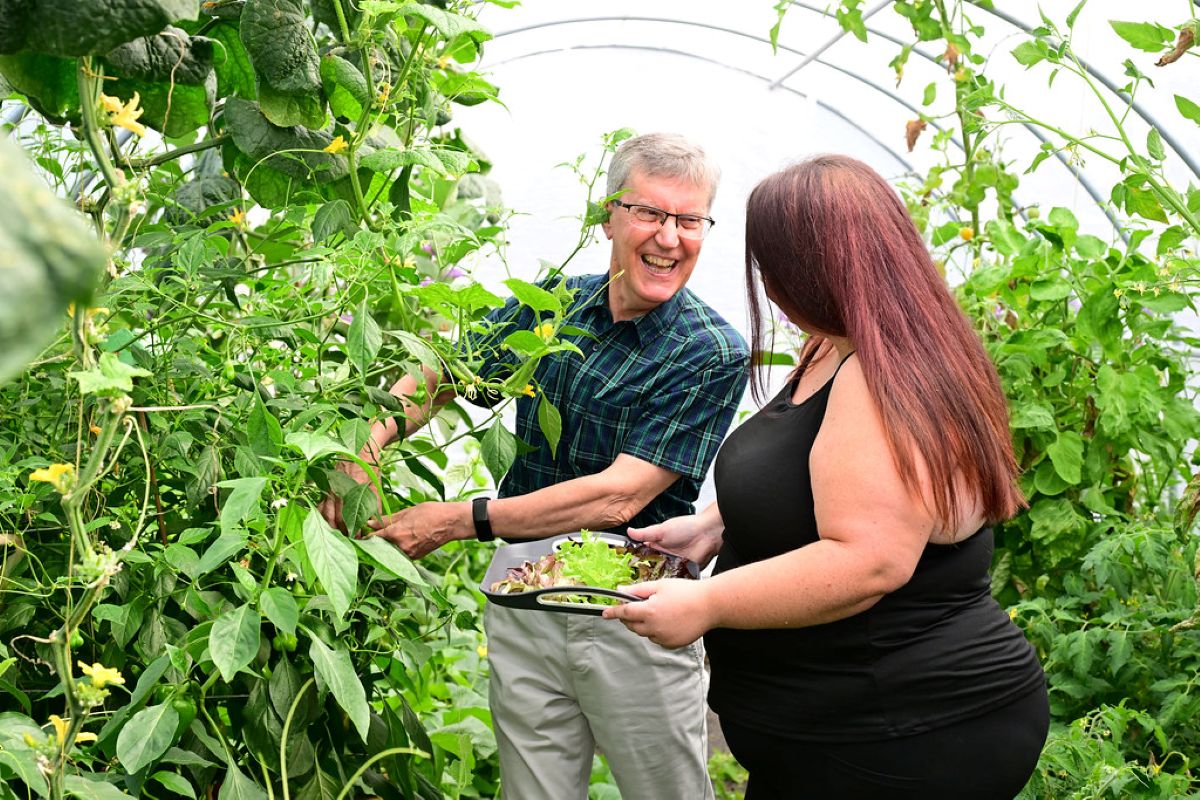 Community garden pic